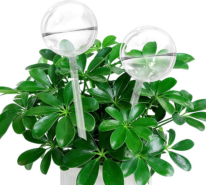 Self Watering Globes, Glass Clear Plant Watering Globes, Self Watering Planter Insert for Indoor & Outdoor Potted, Self Watering Planter Insert Spikes Devices for Everyday or Vacation Use, 2 Pack