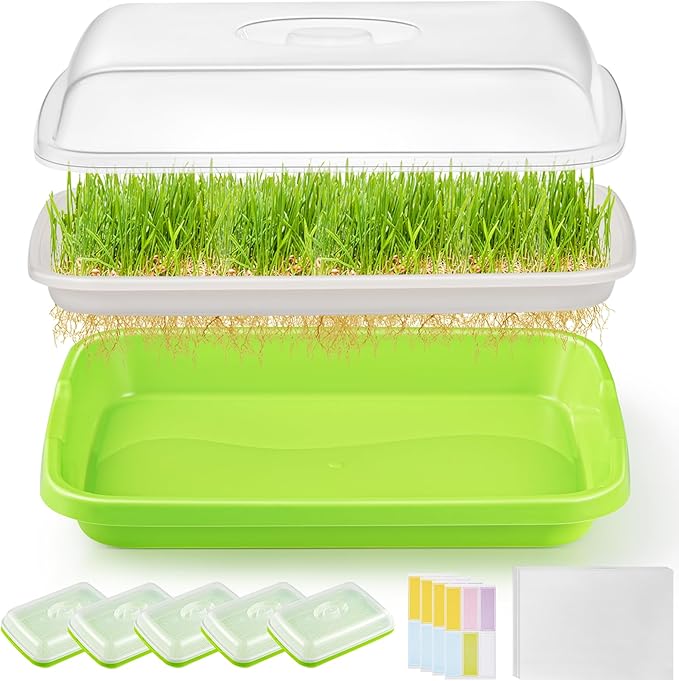 6 Pack Green Seed Sprouter Trays with Lid, Soil-Free Cultivation Germination Tray, Nursery Tray with Planting Paper for Indoors or Outdoors