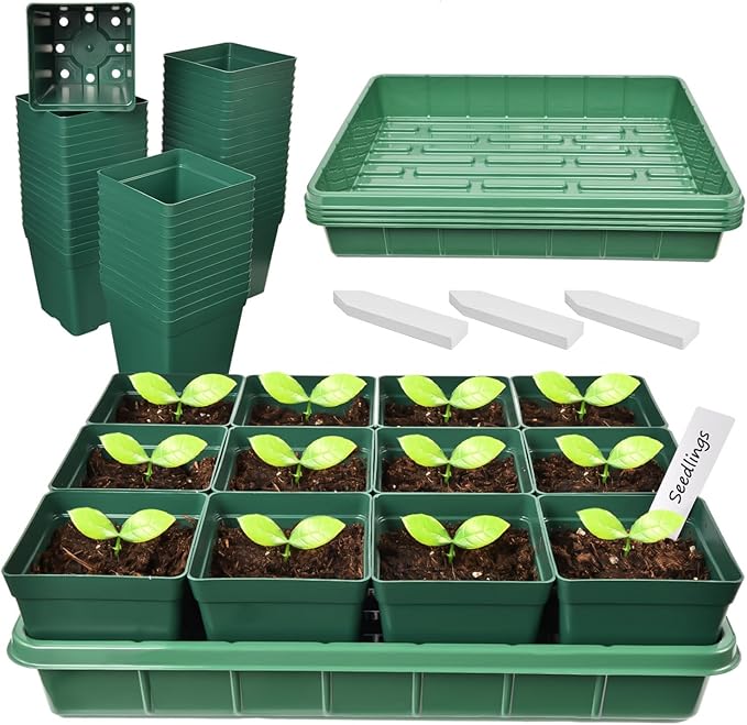 June Fox 60 Small Nursery Pots for Plants, 5 Seed Starter Tray Kit, 3.3 Inch Plastic Seedling Pots with Seedling Starter Trays, 60 Plant Tags (Green)