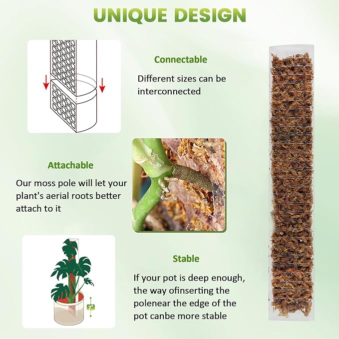 EOX 6 Pack 24" x2 + 36" x2 + 48" x2 Plastic Moss Pole for Monstera, Large D Shaped Poles for Climbing Plants Work with Sphagnum Moss, 210 Inch Total