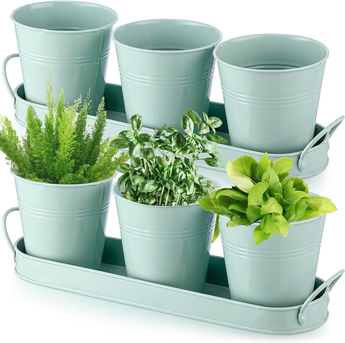 Wenqik 2 Sets Herb Garden Planter Pot Set with Tray Metal Windowsill Plant Pot with Drainage Farmhouse Decorative Live Herb Garden Kit for Home Kitchen Indoor Outdoor Apartment Balcony Window(Green)