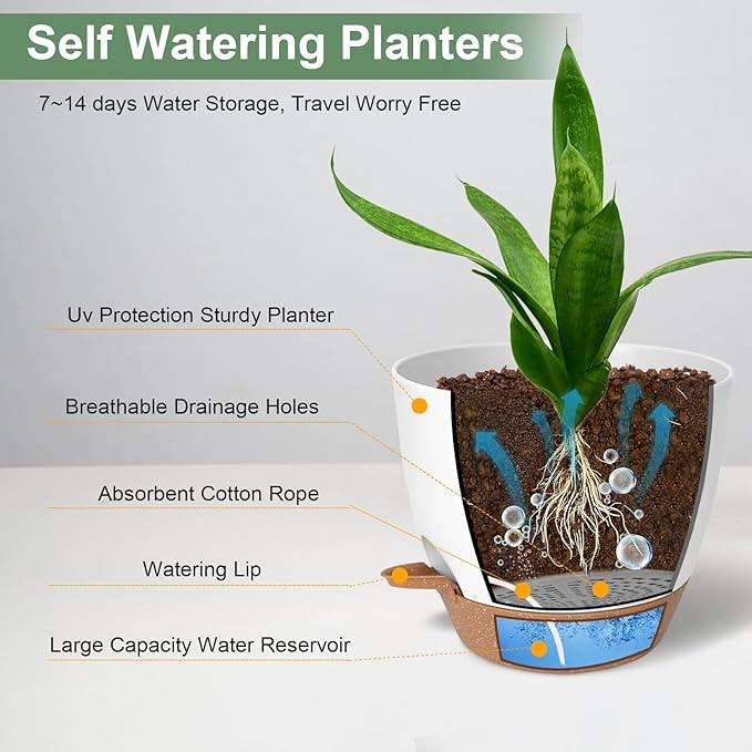 Vanslogreen Planters for Indoor Plants, 10/9/8 Inch Self Watering Plant Pots with Drainage Hole, Plastic Planters Flower Pots for Indoor Outdoor Plants (White)