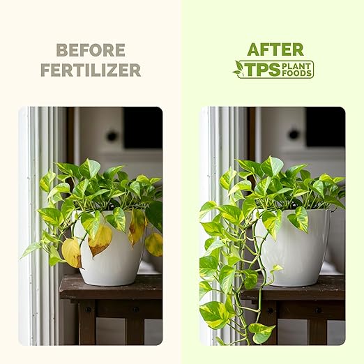 Pothos Fertilizer – Liquid Plant Food for Lush Growth, Stronger Roots & Vibrant Leaves, 32 oz