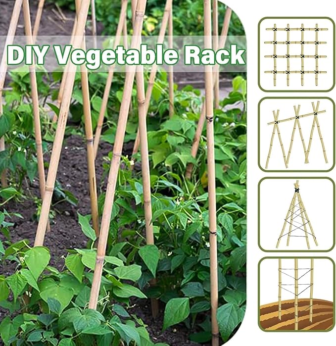 Natural Bamboo Plant Stakes (2ft-50pcs)
