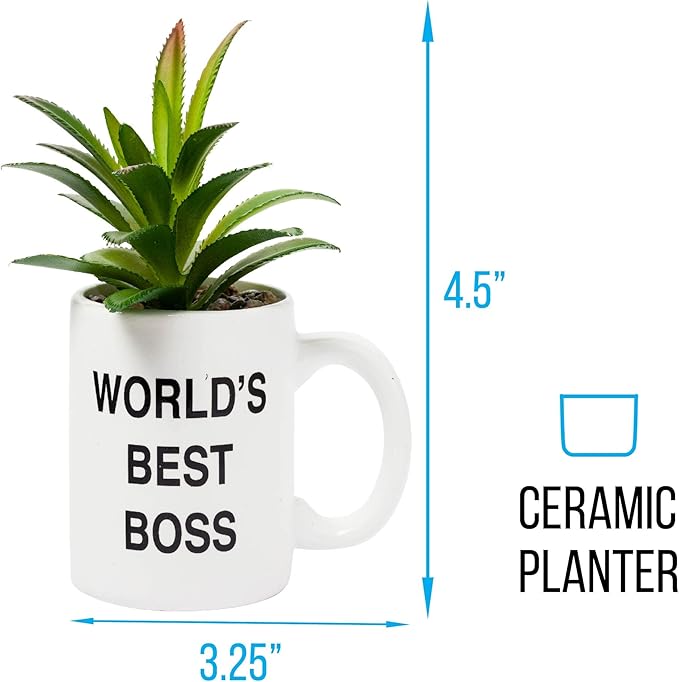 Silver Buffalo The Office World's Best Boss Decorative Artificial Faux Greenery Plant in Ceramic