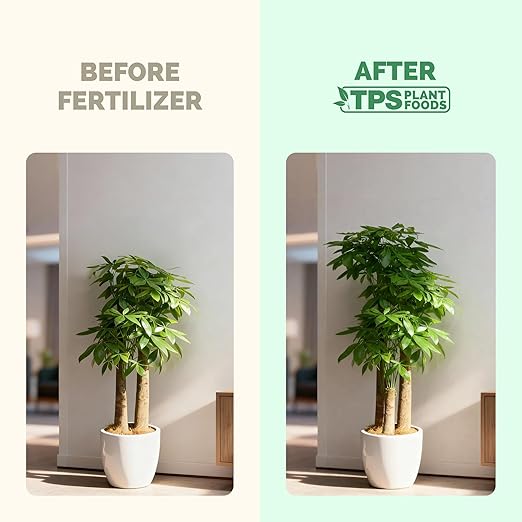 Money Tree Fertilizer – Liquid Plant Food for Lush Foliage, Healthy New Growth & Stronger Roots, 32 oz
