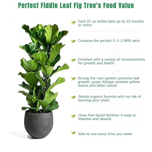 FOLLOWIN Fiddle Leaf Fig Fertilizer & Plant Food for Ficus Lyrata - Concentrated Liquid, 3-1-2 NPK, Urea Free, 7 Chelated Micronutrients for Larger Leaves, Stronger Roots & New Growth, 21 fl oz