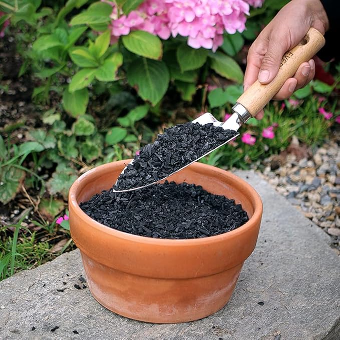 Doter Horticultural Charcoal for Plants 1 qt, All Natural Hardwood Charcoal, Activated Charcoal for Soil Amendment, Orchids, Terrariums, and Gardening