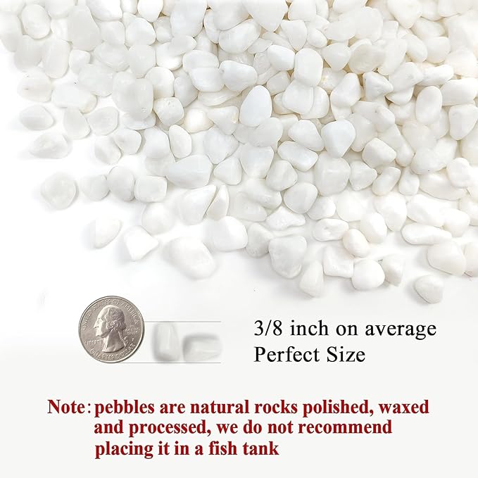 FANTIAN 10 lbs White Pebbles for Indoor Plants, 3/8 Inch Decorative White Stones. Polished River Rocks for Potted Plants Vase Cactus Bird Bath and Outdoor Garden Landscaping