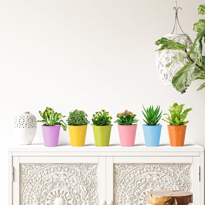 Indoor Herb Garden Set of 6 Metal Herb Planter Windowsill Plant Pots with Tray Drainage Holes for Outdoor Or Indoor Plants (Multicolor)