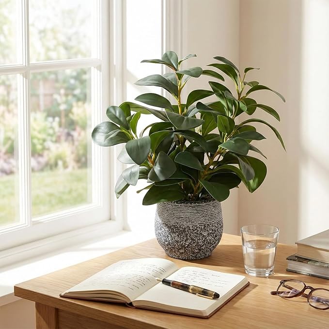 SHOHAYTO Artificial Plants for Home Decor - 13.2 Inch Fake Ficus Tree in Cement Planter, Real Looking Potted Faux Plants for Office Desk, Kitchen Shelf, Bookshelf & Indoor Decor