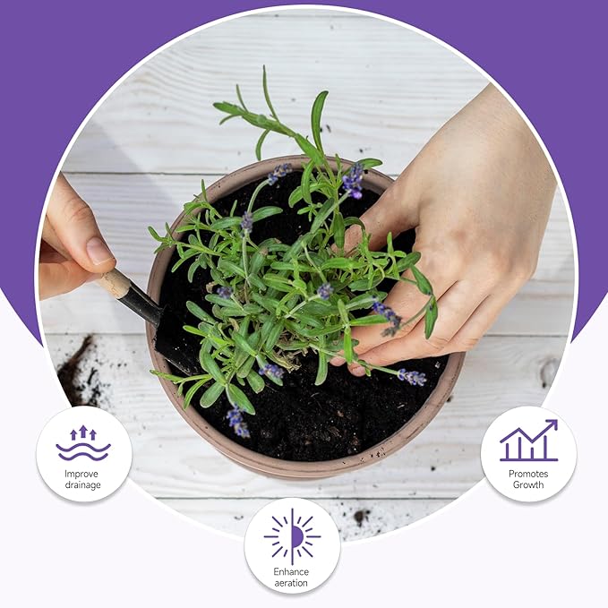 Doter Premium Lavender Potting Mix 1qt, Promotes Lavender Blossoming, Perfect for Indoor and Outdoor Gardening