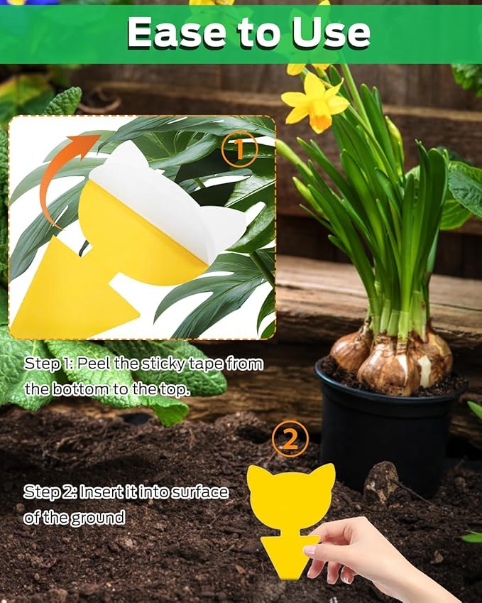 Fruit Fly Traps for Indoors Sticky, Gnat Traps for House Indoor Plants, Fungus Gnat Sticky Trap, 20pcs, Non-Toxic, Odorless, Harmless to Vegetables, Fruits, Plants