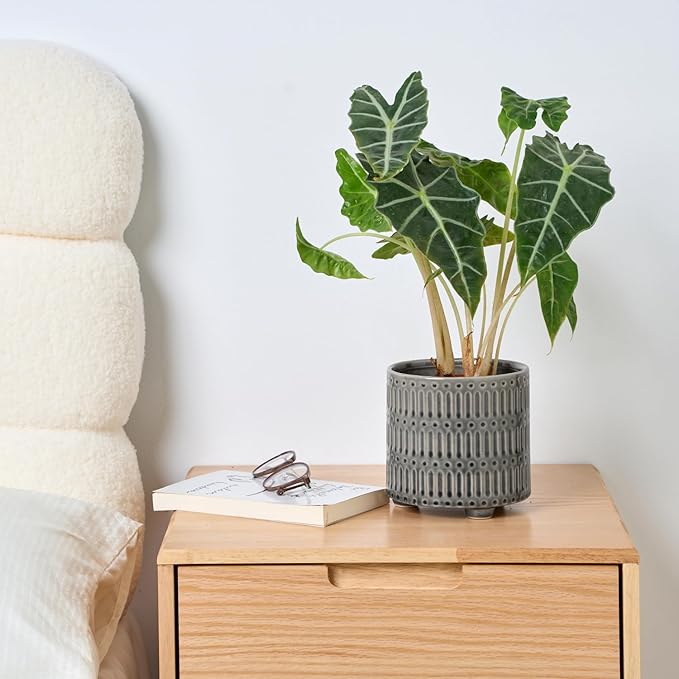 STHIE 5 Inch Ceramic Planters for Indoor Plants, Gray Cactus Snake Plant Pots with Drainage, Unique Design Round Flower Pot for Home Decoration