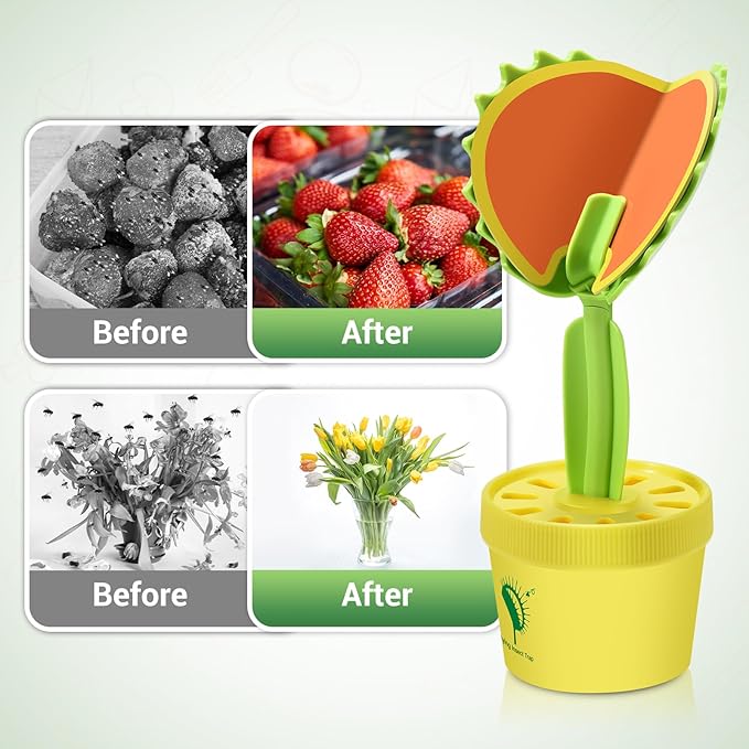 Fruit Fly Trap for Indoor, Fruit Fly Sticky Traps Gnat Trap for House Indoors with 10Pcs Sticky Pads & Attractant, Fly Trap for Home Kitchen Plant 2 Pack (2)