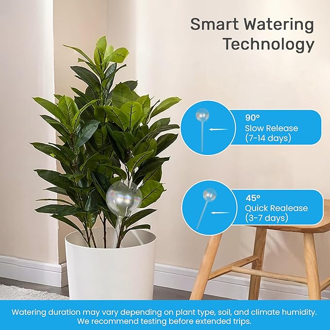 Little Green Leaf Automatic Plant Watering Globes Self Watering Planter Inserts (Set of 6) | Hands Free Clear Glass Bulbs | Planter Spikes to Support Indoor & Outdoor Plant Health (200ml)