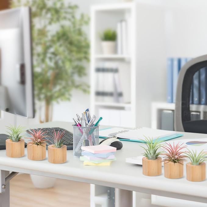 Bigmeta 6 Pcs Wood Air Plant Holder - 1.2" Rustic Style Airplant Display Stands for Women Gifts