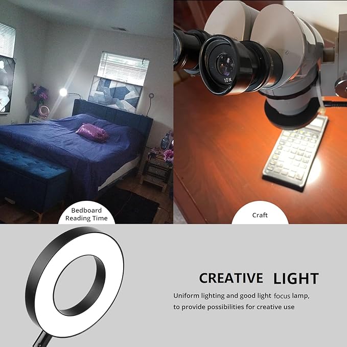 Woputne Desk Clip on Lamp for Reading Home Office, with 5V 2A Adapter, 10 Dimmable Brightness 3 Modes, Clamp Reading Light for Bed Headboard, Craft (2packs, Black)…