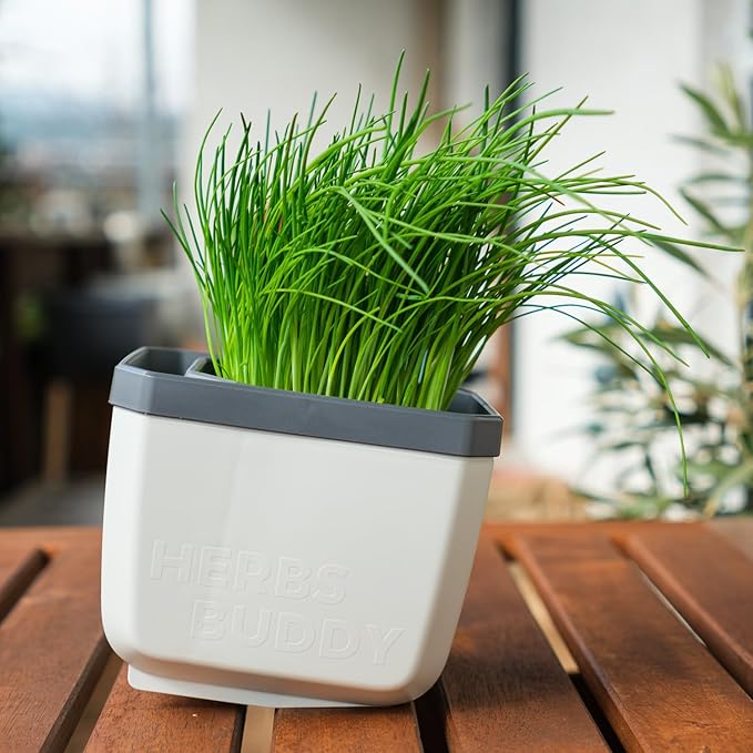BUZZY Seeds Herb Buddy Self-Watering Herb Planter with Water Level Indicator – Indoor Kitchen & Windowsill Planter (Grey)