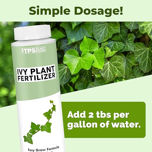 Ivy Plant Food – Liquid Plant Food for Longer Vines, Rich Green Leaves & Healthy New Growth, 8 oz