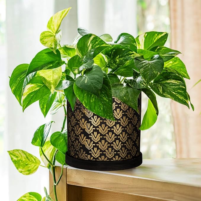 Ceramic Plant Pots with Drainage Hole & Saucer, Black & Gold Ceramic Planter Pot for Indoor & Outdoor Use, 5.5" Small Plant Pots Decorative Flowerpots for Succulents, Herbs, Cactus, Orchids Planter