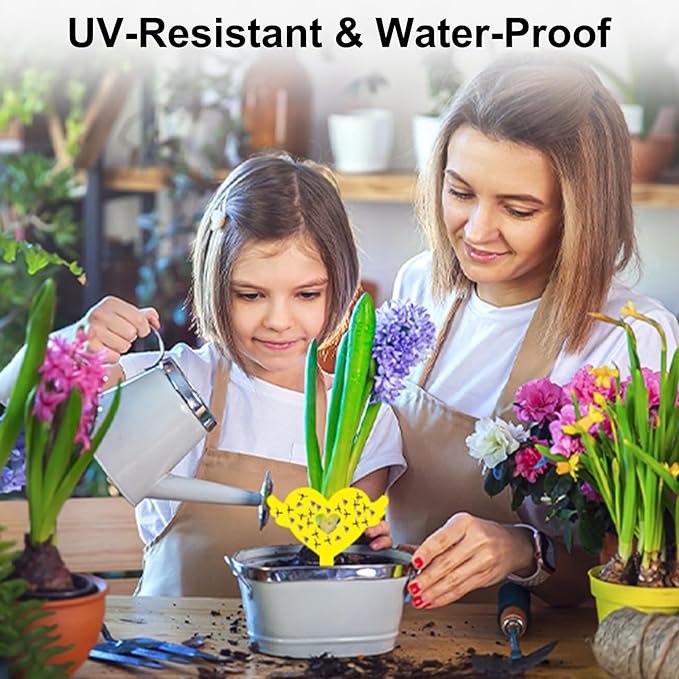 36PCS Fruit Fly Sticky Traps Fungus Gnat Traps Insect Trap for Plants Kitchen Indoor Outdoor White Flies Mosquitos Fungus Gnats Flying Insects Houseplant Gifts (Love Shape)