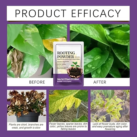 Rooting Powder for Cuttings, with Important Early Growth Support, 35g, Root Growth Stimulator Plant Booster, Indoor Plant Fertilizer, Promotes Healthy Stem, for Citrus, Vegetables, Orchids