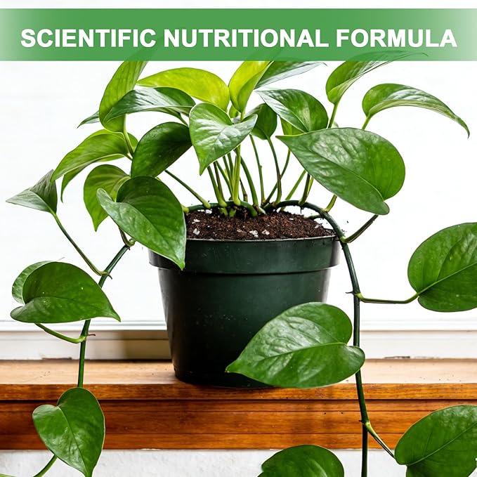 Pothos Potting Soil - Pure Natural Organic Soil 1qt, Well-Draining and Aerated for Healthy Indoor Plants