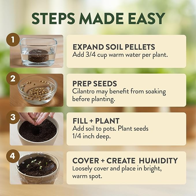 HOME GROWN Indoor Organic Herb Garden Kit – Unique Christmas Gift for Adults, Men, & Women - Grow 4 Herb Seeds & Herb Garden Planter Indoor Kit – Unique Christmas Gift for Adults, Men, & Women