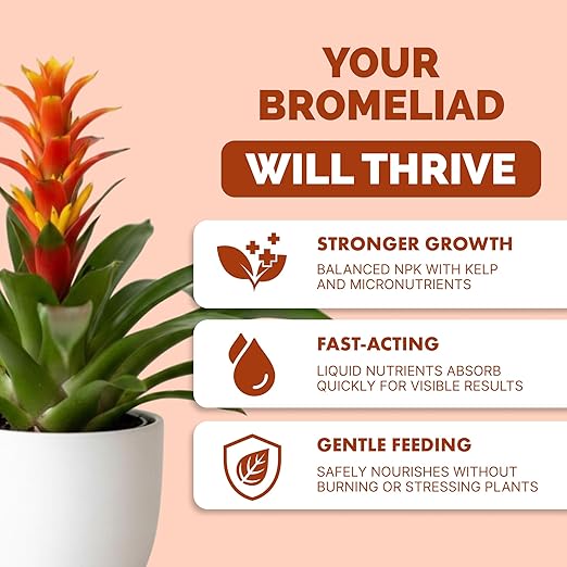 Bromeliad Fertilizer – Liquid Plant Food for Brighter Color, Stronger Roots & Healthy Tropical Growth, 32 oz