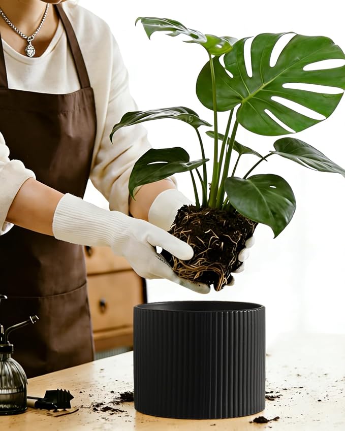 Matte Black Ceramic Plant Pots, 8.1 + 6 Inch Planters for Indoor Plants, Modern Flower Pots with Drainage, Two-Sizes Set