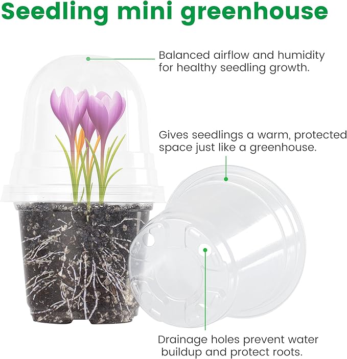 Bluepro 36 Packs 5/4/3.5 Inch Clear Nursery Pots with Humidity Domes, Transparent Plant Pots with Drainage Holes, Variety Pack Seedling Pots for Vegetable Propagation, Root Cutting, Seed Starting