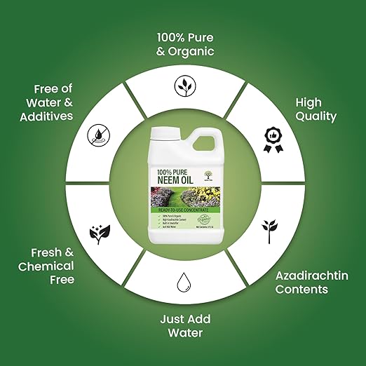 Nature’s Will Pure Ready-to-Use Neem Oil Concentrate | High Azadirachta Content | Just Add Water | Natural Plant Care (8 oz)