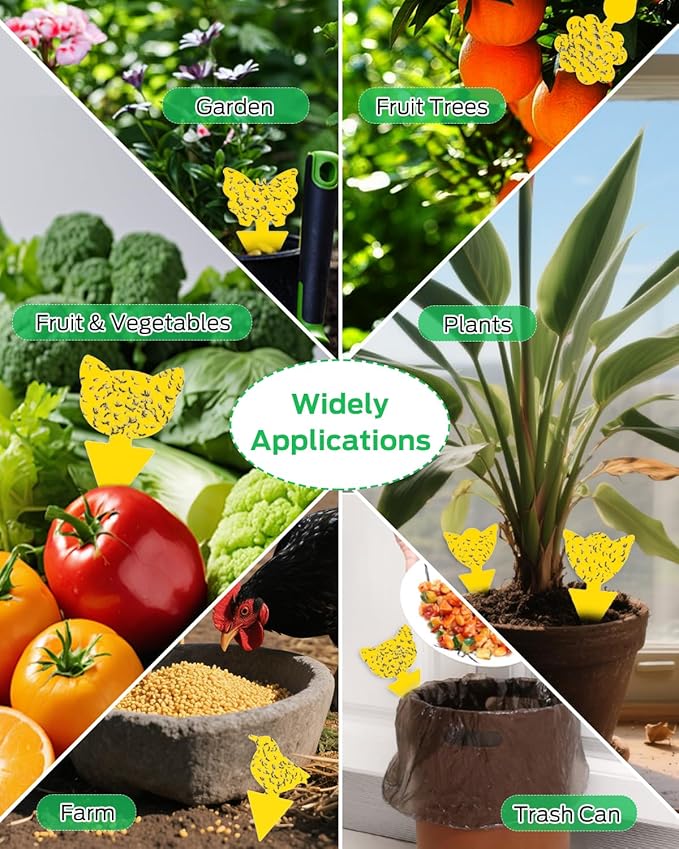 Fruit Fly Traps for Indoors Sticky, Gnat Traps for House Indoor Plants, Fungus Gnat Sticky Trap, 100pcs, Non-Toxic, Odorless, Harmless to Vegetables, Fruits, Plants