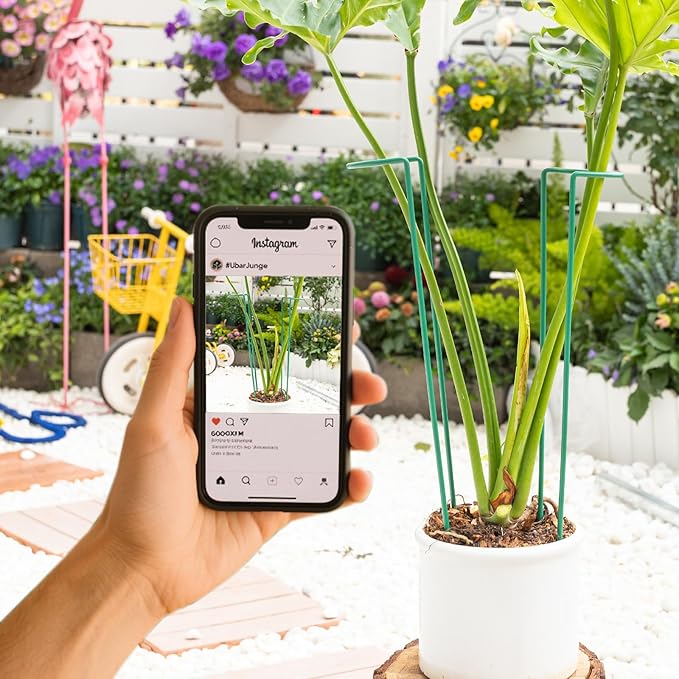 10 Pack Monstera Support Indoor Plant Support Stakes for Large Plants and Climbing Vines | Plant Supports for Outdoor and Indoor Use | Ideal Garden Flower Stem Holder Trellis for Plant Lovers