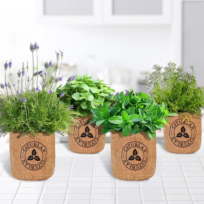 Herb Garden Starter Kit Herb Seed Growing Kit Herb Garden Starter Kit DIY Grow Indoor Garden Set Gift for Home Plant Starters Balcony