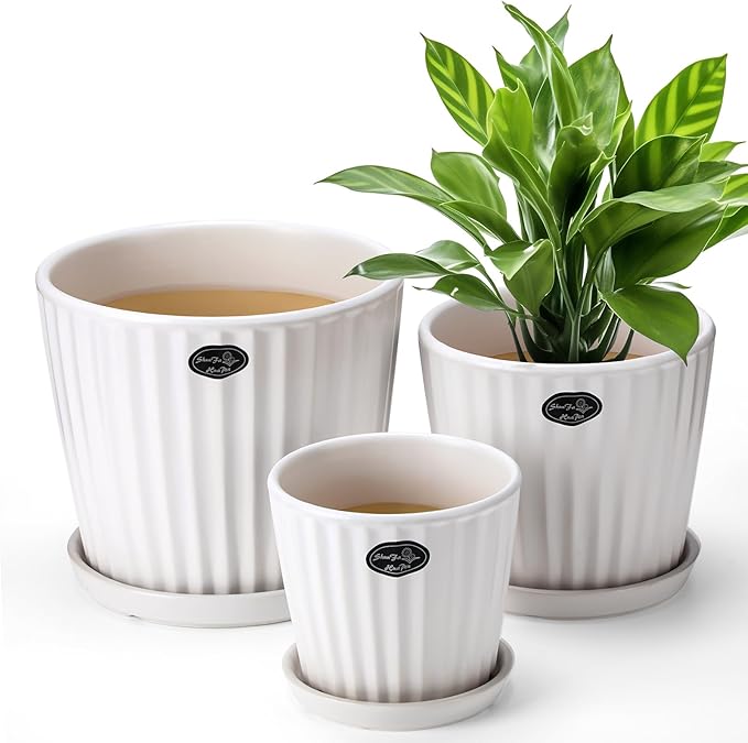 3 Pcs Ceramic Plant Pots 7.3/6/4.7 Inch Ceramic Flower Pot with Drainage Hole and Saucer Decorative Planter Indoor Outdoor for Gardening Home Desktop Office Windowsill Decoration Gift(White)