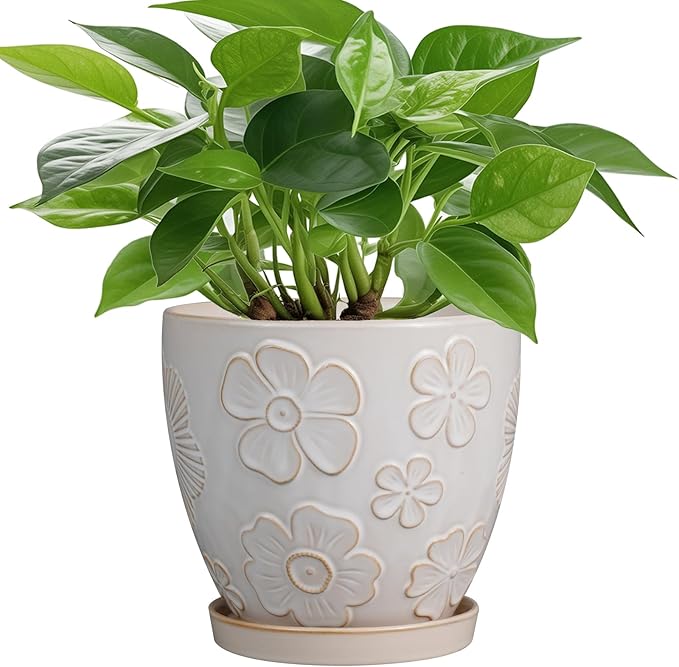 MPotTo 6.9 Inch Plant Pot with Drainage Hole and Saucer Ceramic Planter for Indoor Plant Flower Pot for Orchid Succulents Plants White