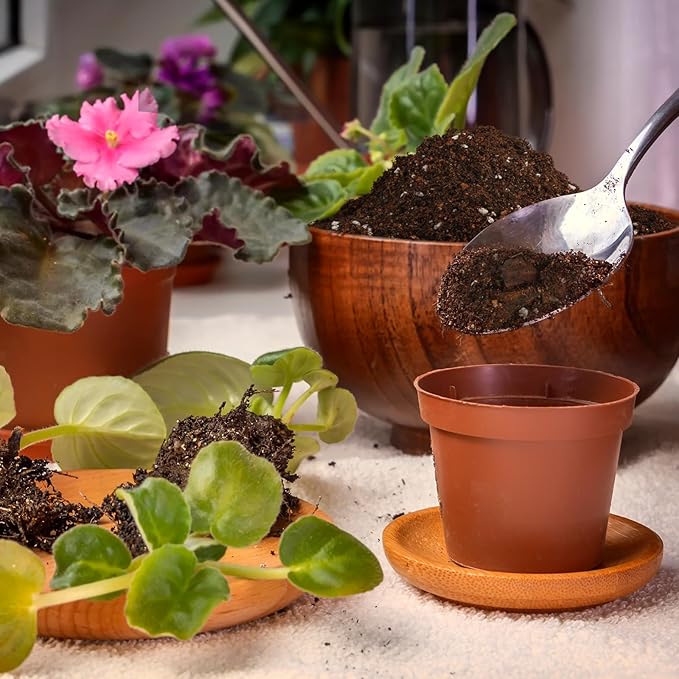 Doter Organic African Violet Potting Mix, Indoor Plants Potting Mix for All Potted Saintpaulia, Grow Healthy houseplants Indoors