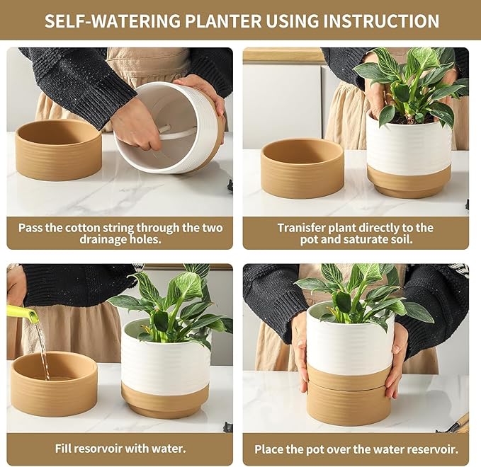 HASENSE Ceramic Plant Pot with Saucer, 6 Inch Planter White Flower Pot for Succulents,for Indoor Plants with Drainage Hole, Snake Plants & Cactus, Modern Decor Gift for Mom