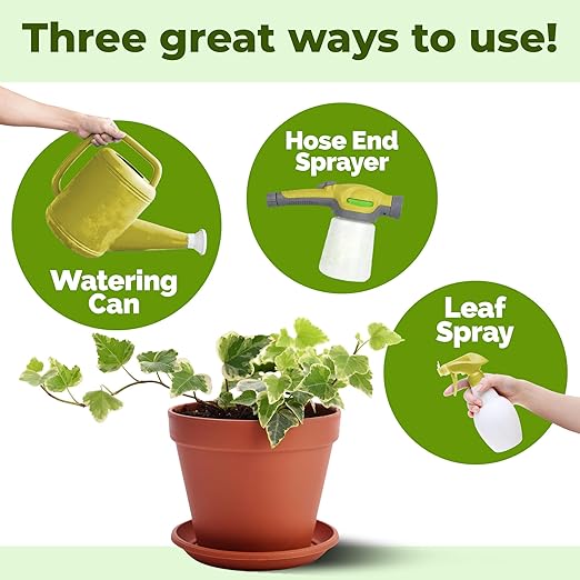 Ivy Plant Food – Liquid Plant Food for Longer Vines, Rich Green Leaves & Healthy New Growth, 32 oz