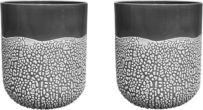 Hosley Set of 2 Lichen Box 5 Inch High Charcoal Floral Planter Ideal Storage or Gift for Wedding Home Study Knickknacks Trinkets Planter Candle Garden O9