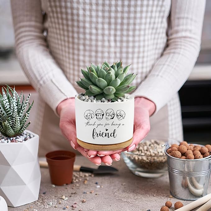 Golden Girls Merchandise,Thank You for Being A Friend,Succulent Flower Cactus Plant Pot with Drainage,Friendship Gifts for Friends Bestie Sister,Friend Gifts for Women(Plant Not Included)