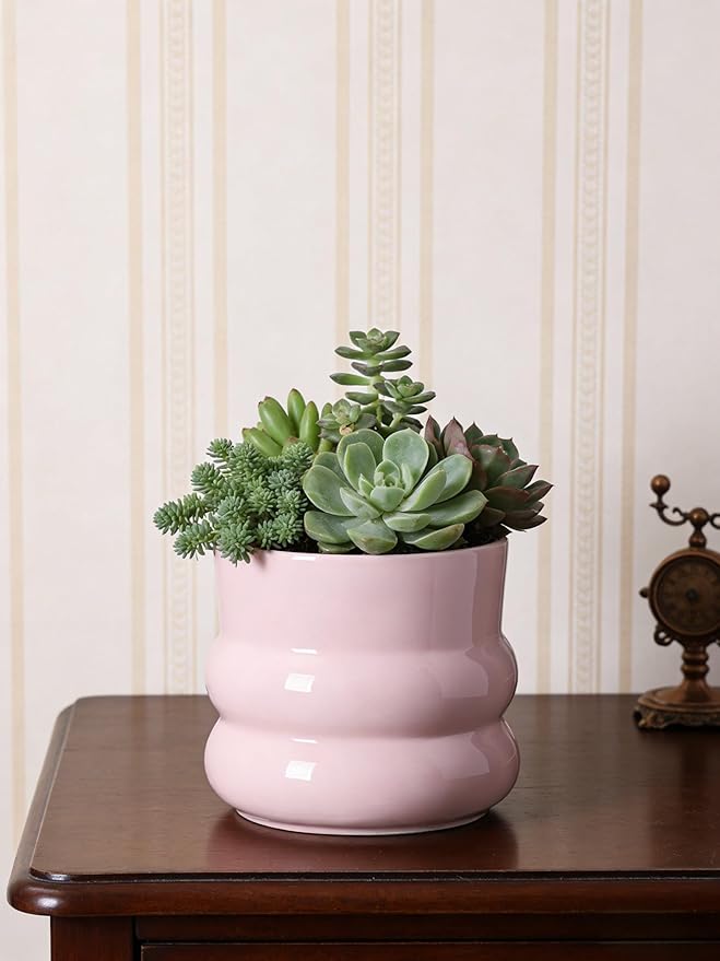 6 Inch Plant Pot,Ceramic Planter Pot with Drainage Hole,Indoor Planters for Herbs Plants,Ceramic Flower Pots for Indoor/Outdoor Plants,Home Office Garden Décor,Pink