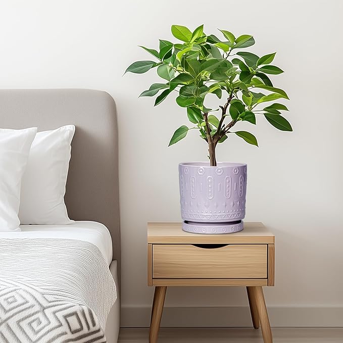 Eightpot Ceramic Pots for Plants, 6 Inch Plant Pot for Indoor Outdoor Plants, Round Planter with Drainage Holes and Saucer, Boho Decorative Flower Pots, Apartment Decor, Plant Lover Gifts, Purple