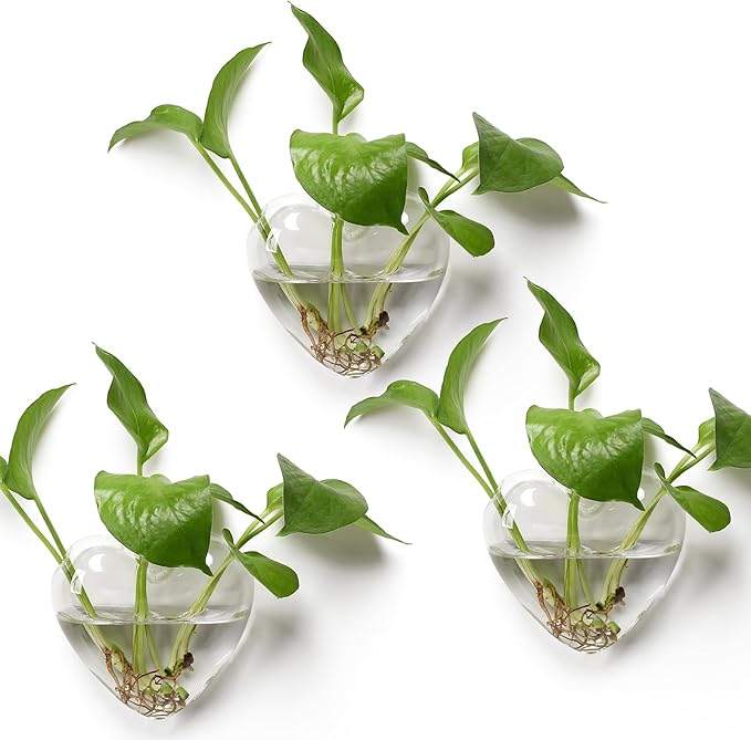 Wall Hanging Planter Propagation Station for Indoor Plants Glass Vase Air Plant Holder Gift for Women Girlfriend Plant Lover