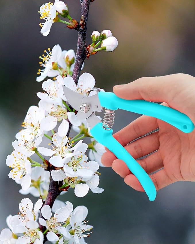 Pruning Shears for Gardening, 4 Pack Garden Scissors for Cutting Fresh Flowers, Floral Clippers for Plants, Fruits (Blue)