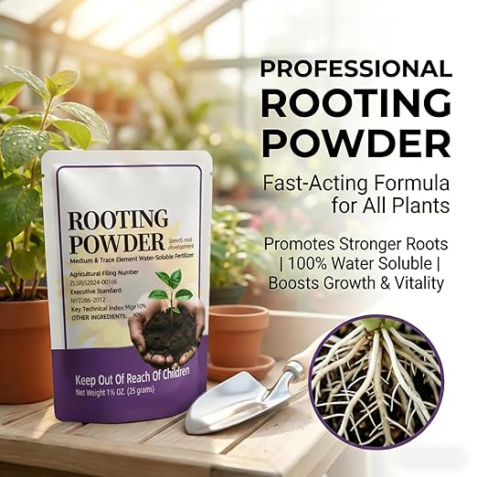 Rooting Powder for Cuttings, with Important Early Growth Support, 35g, Root Growth Stimulator Plant Booster, Indoor Plant Fertilizer, Promotes Healthy Stem, for Citrus, Vegetables, Orchids