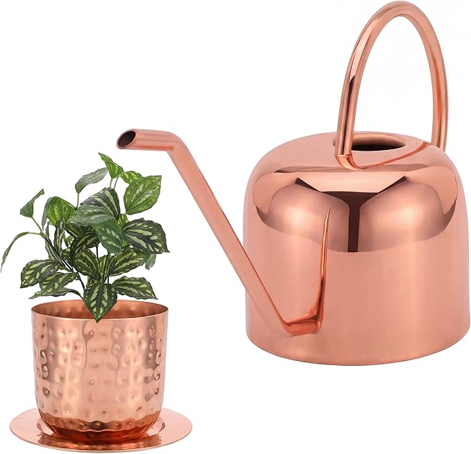 Glytterati - Indoor Watering Can and Planter with Plate.
