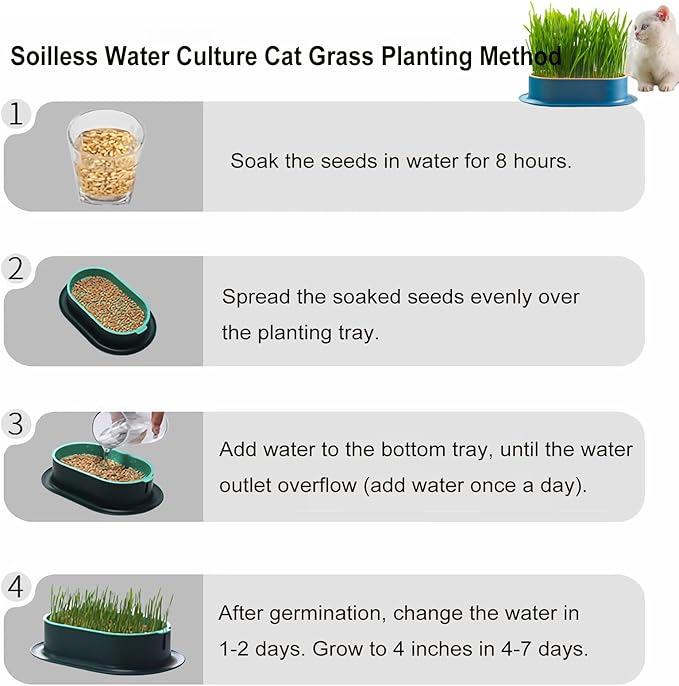 2Pcs Cat Grass Planter (No Seeds Included) Wheatgrass Planting Trays Hydroponic Cat Grass Growing Kits for Indoor Cats Soilless Organic Nursery Box Pet Grass Pot (N)